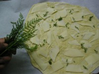 /album/galerie-photos/pizza-et-achillee1-jpg/